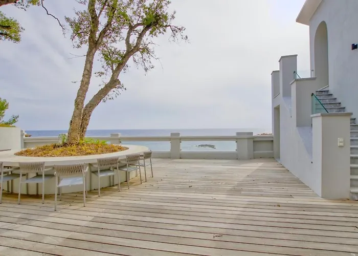 Ref Anthea - Palmes D'or *